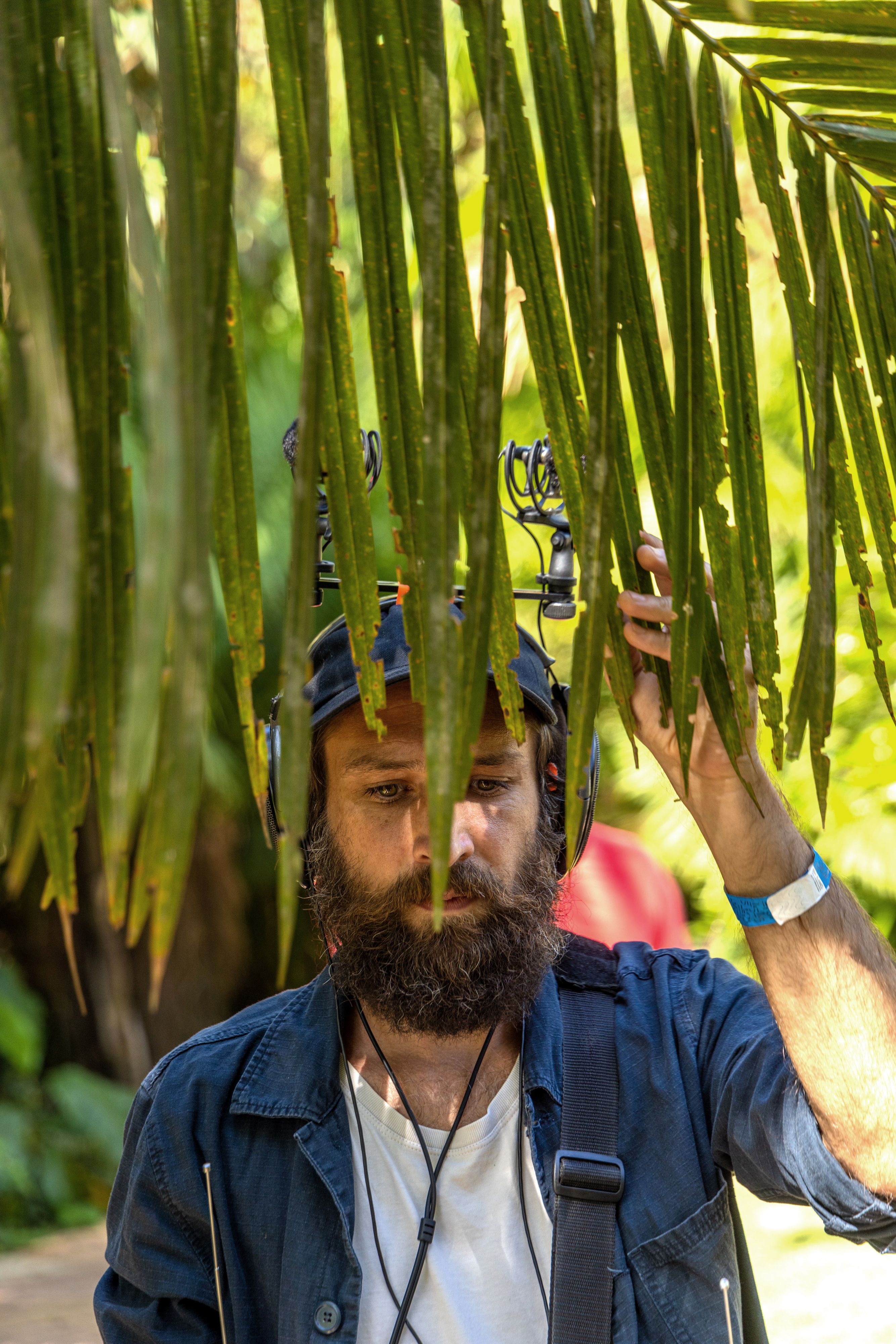 Niko de Paula Lefort